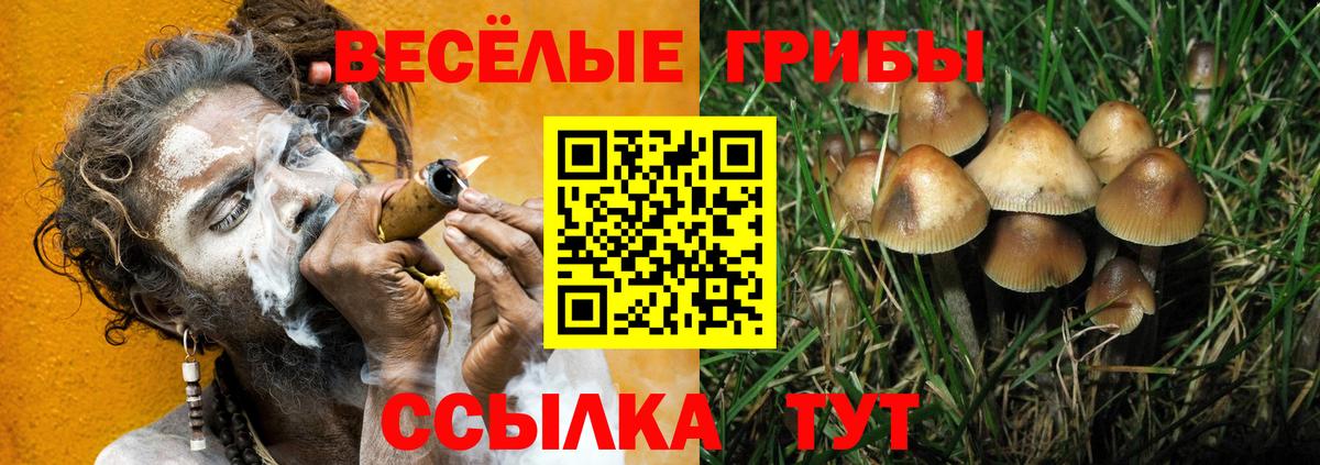 Псилоцибиновые грибы MAGIC MUSHROOMS  Вход с VPN  Салават 
